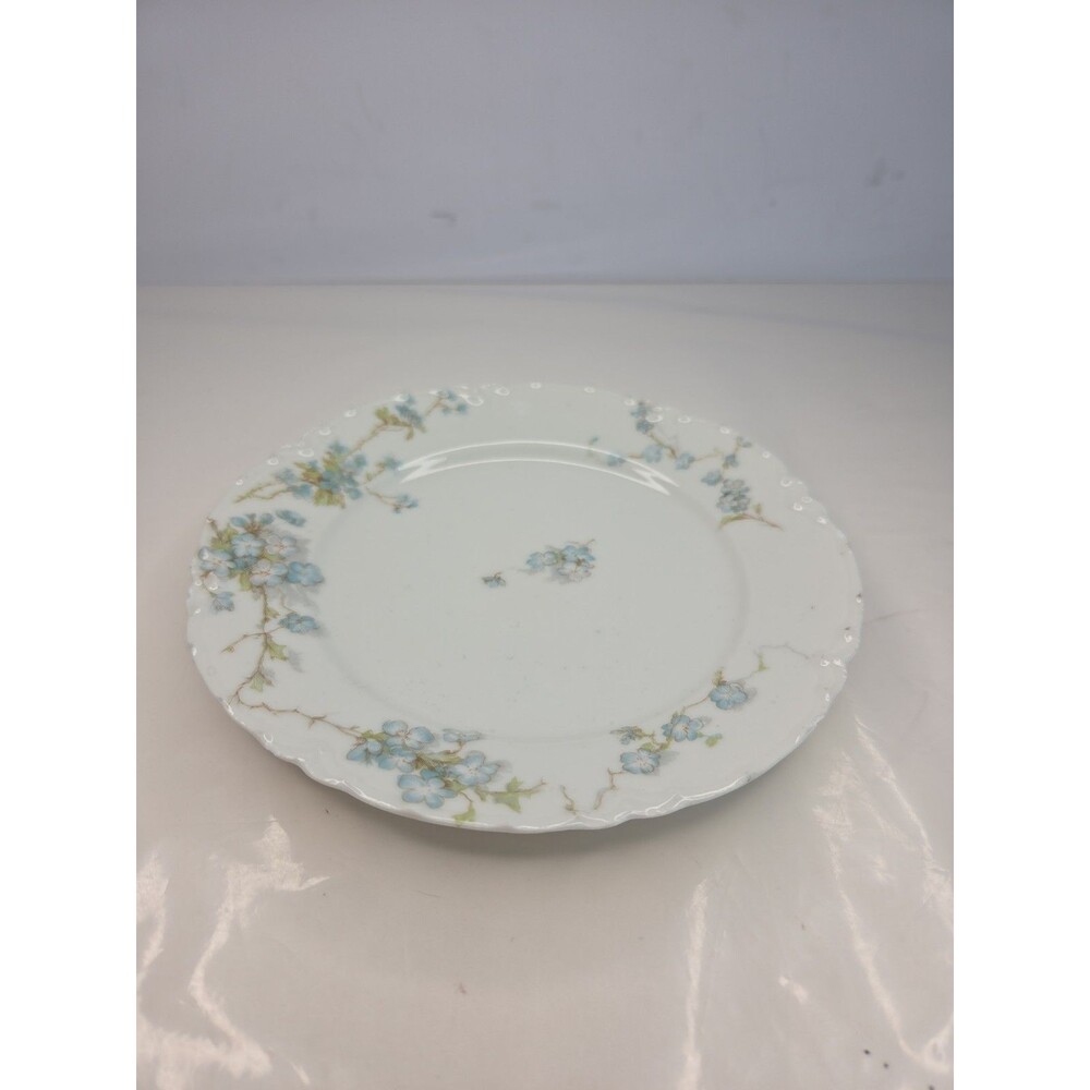 Antq Haviland & Co Limoges France 6" Salad Plate Schleiger 248B Forget Me Nots